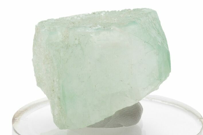 Green Apophyllite Crystal - India #223940